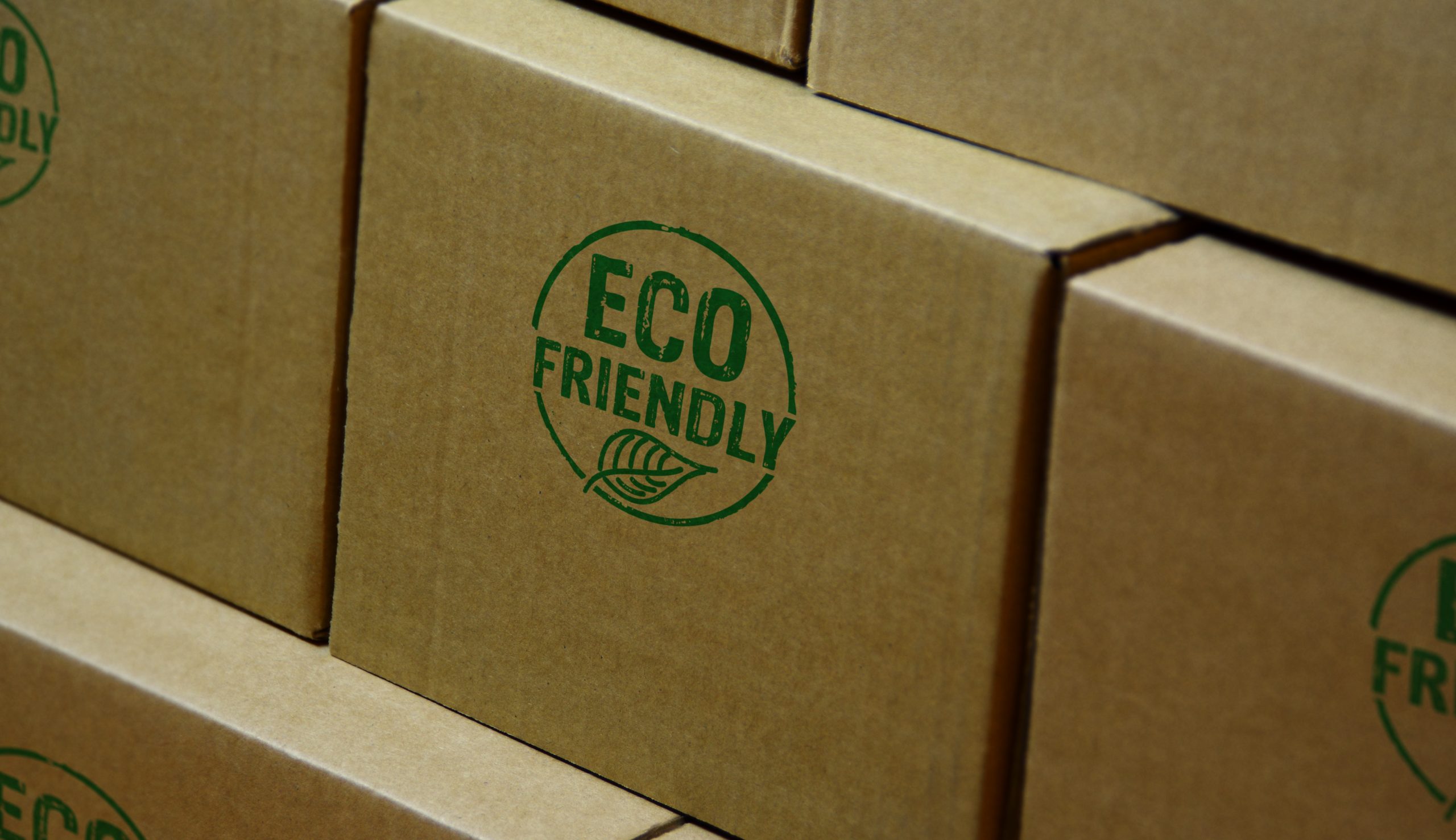 Natura ecosostenibile di prodotti e imballaggi