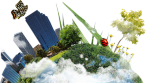 ERP Recycling Image ERP Recycling Image